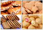 Productielijn voor roestvrijstalen koekjes, efficiënte crackervervaardigingsmachine leverancier