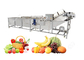 Bellentype van de de Aardbeikers van de Ozon het Plantaardige Wasmachine Materiaal van de het Fruitwas leverancier