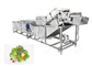 Bellentype van de de Aardbeikers van de Ozon het Plantaardige Wasmachine Materiaal van de het Fruitwas leverancier