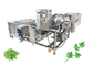 De Wasmachinefruit van de bladgroente en Plantaardige Verwerkingsmateriaal zonder Damanage leverancier