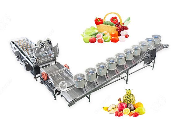 China Efficiënt Aangepast Fruit en Plantaardige Wassende en Drogende Productielijn leverancier