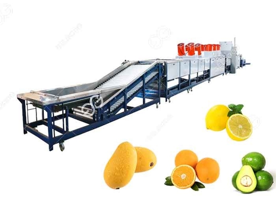 China De Schoonmakende en In de was zettende Machine van het oranje Was het In de was zetten Drogende en Sorterende Machinefruit leverancier