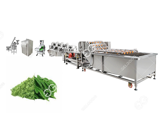 China De industriële Moringa Productielijn van het Bladpoeder leverancier