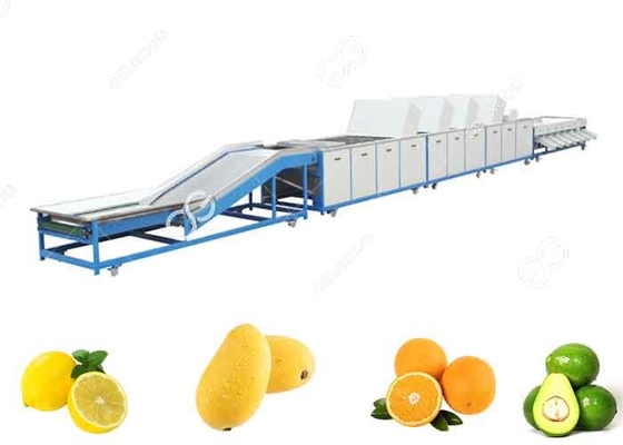 China 1t/H-5t/H van het het Materiaalfruit van de fruitwas de Waslijn voor de Verkoop van de Fruituitvoer leverancier