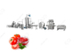 1T/H de industriële van het de Machinemateriaal van de Tomatenpureeverwerking Productielijn van het de Tomatendeeg leverancier