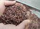 Professionele Noten die Machine/Roestvrij staal de Wanmolen van het Cacaoschilmesje roosteren leverancier