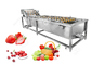 Automatisch Fruit en Plantaardig Wasmachinefruit en het Plantaardige Materiaal van de Wasverwerking leverancier