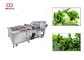 300-5000KG/H Groene de Bladerenwasmachine van de Bladgroentewasmachine leverancier