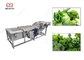 300-5000KG/H Groene de Bladerenwasmachine van de Bladgroentewasmachine leverancier