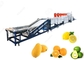 1t/H-5t/H van het het Materiaalfruit van de fruitwas de Waslijn voor de Verkoop van de Fruituitvoer leverancier