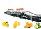 1t/H-5t/H van het het Materiaalfruit van de fruitwas de Waslijn voor de Verkoop van de Fruituitvoer leverancier