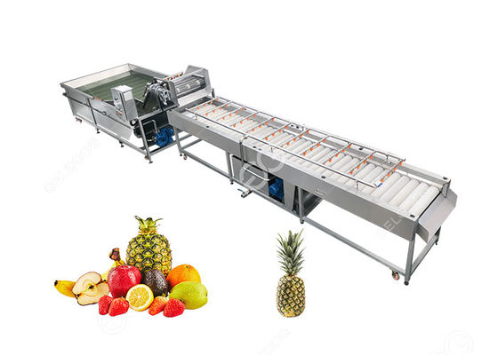 Grote Outputananas het Schoonmaken MachineFruitverwerking Equipment2T/H